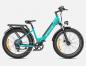 Preview: ENGWE Tiefeinsteiger E-Bike E26