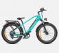 Preview: ENGWE hoher Schritt E-Bike E26