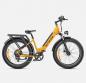 Preview: ENGWE Tiefeinsteiger E-Bike E26