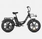 Preview: ENGWE Tiefeneinstieg E-Bike L20