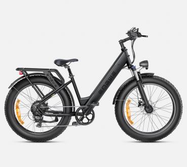 ENGWE Tiefeinsteiger E-Bike E26