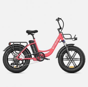 ENGWE Tiefeneinstieg E-Bike L20