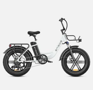 ENGWE Tiefeneinstieg E-Bike L20